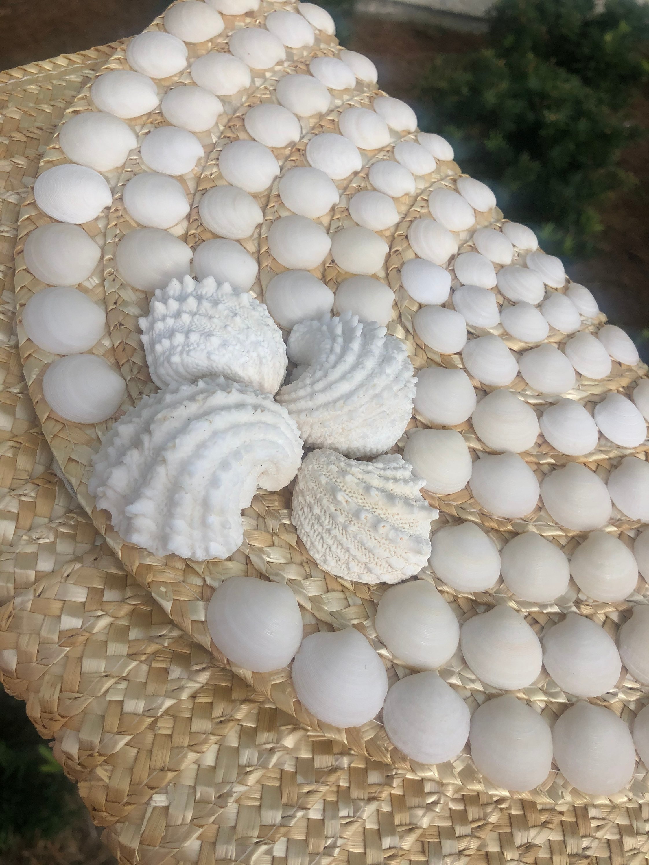 Seashell Clutch 
