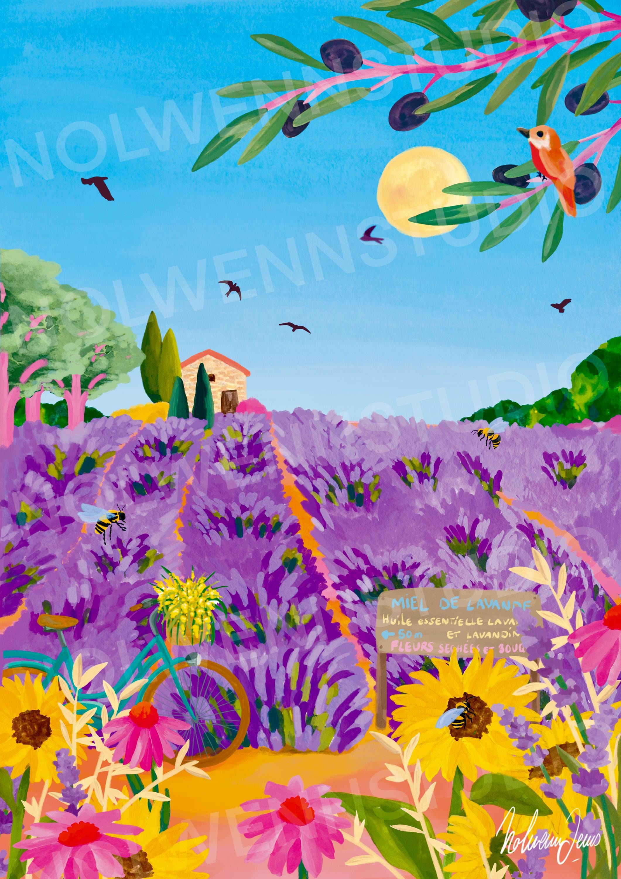 ヴァロンソール高原 / ラベンダー畑 / プロヴァンス / イラスト / 旅行