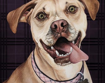 May include: A light brown dog with a pink and black plaid collar and a bone-shaped tag. The dog has its tongue sticking out and is looking at the camera. The background is a dark purple plaid.