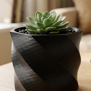 May include: A green succulent plant in a black, geometric-patterned planter. The planter has a twisted design and is filled with small black stones. The plant's leaves are a vibrant green, contrasting with the dark planter.