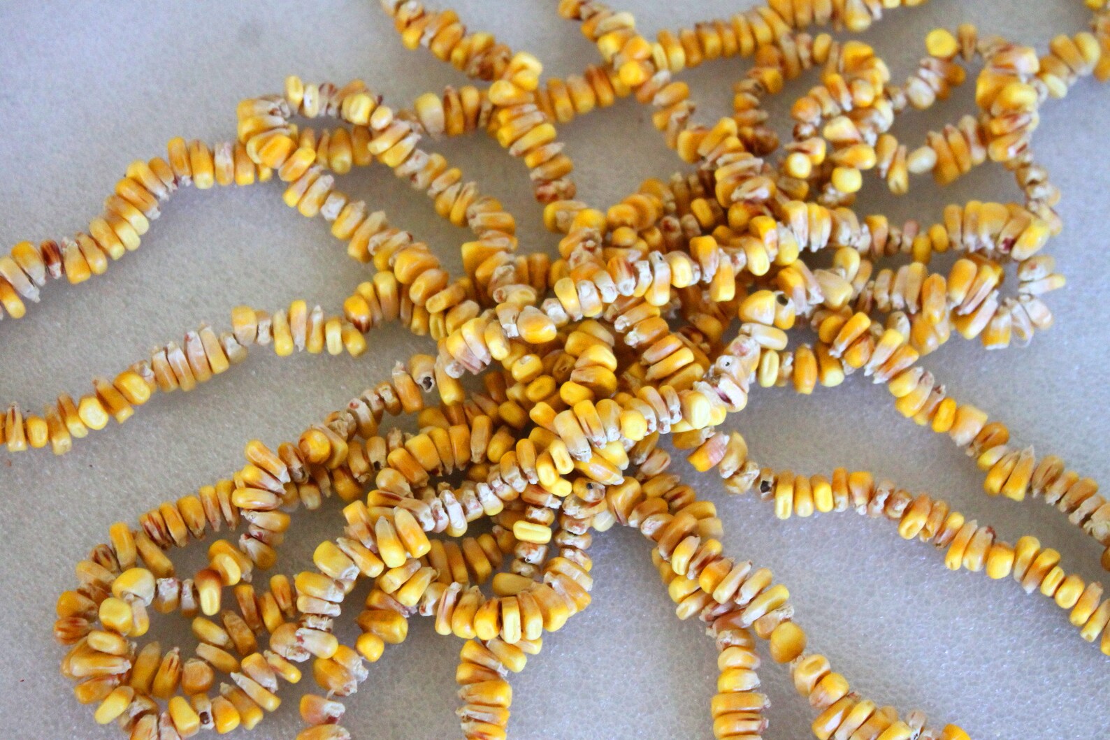 Natural Colored Indian Corn Necklace UNDYED Non GMO Powwow Autumn
