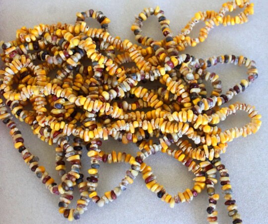 Natural Colored Indian Corn Necklace UNDYED Non GMO Powwow Autumn