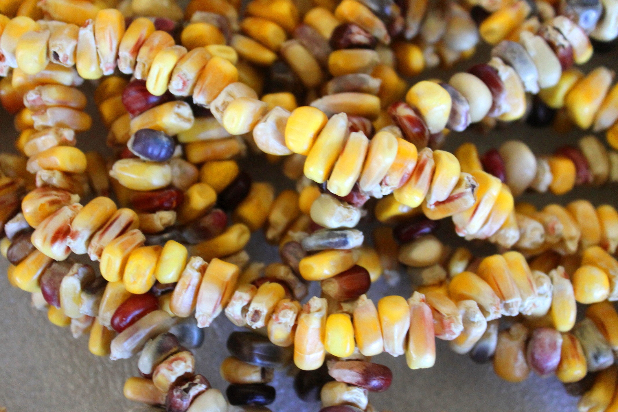 SET of 10 Natural Colored Indian Corn Necklaces Undyednon Gmopowwow