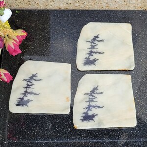 Granite Rock Coasters - Set of 3