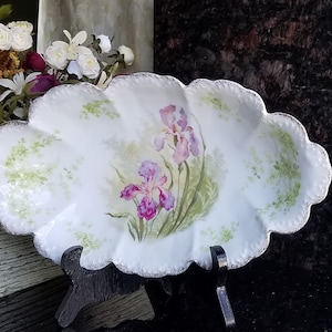 Vintage Oval Shape Platter / Malmaison Bavaria / Iris Flower Flower