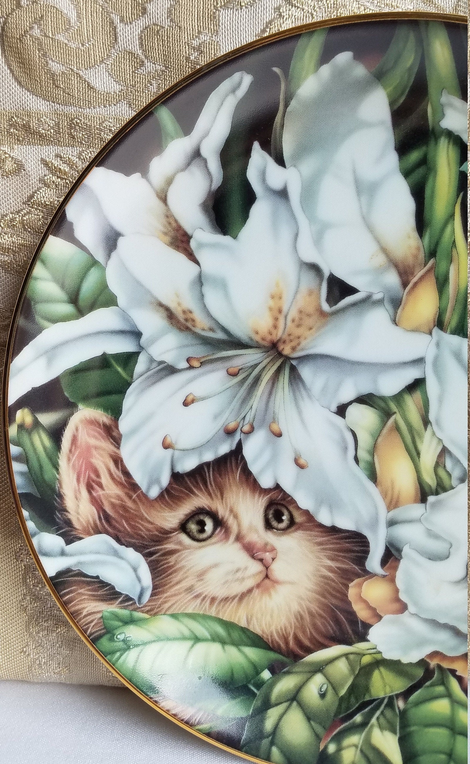 Todd Clausnitzer Kitten Plate: Bradford Exchange Limited Edition