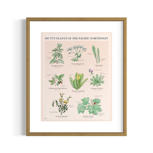 Sh*tty Pflanzen des pazifischen Nordwestens Poster / Botanische Illustrationen / Pflanzen Nerds