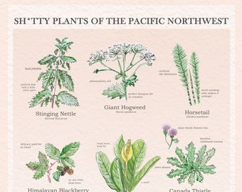 Sh*tty Plants of the Pacific Northwest Poster/ Botanical Illustrations / Modern Botanical / Vintage Wall Art