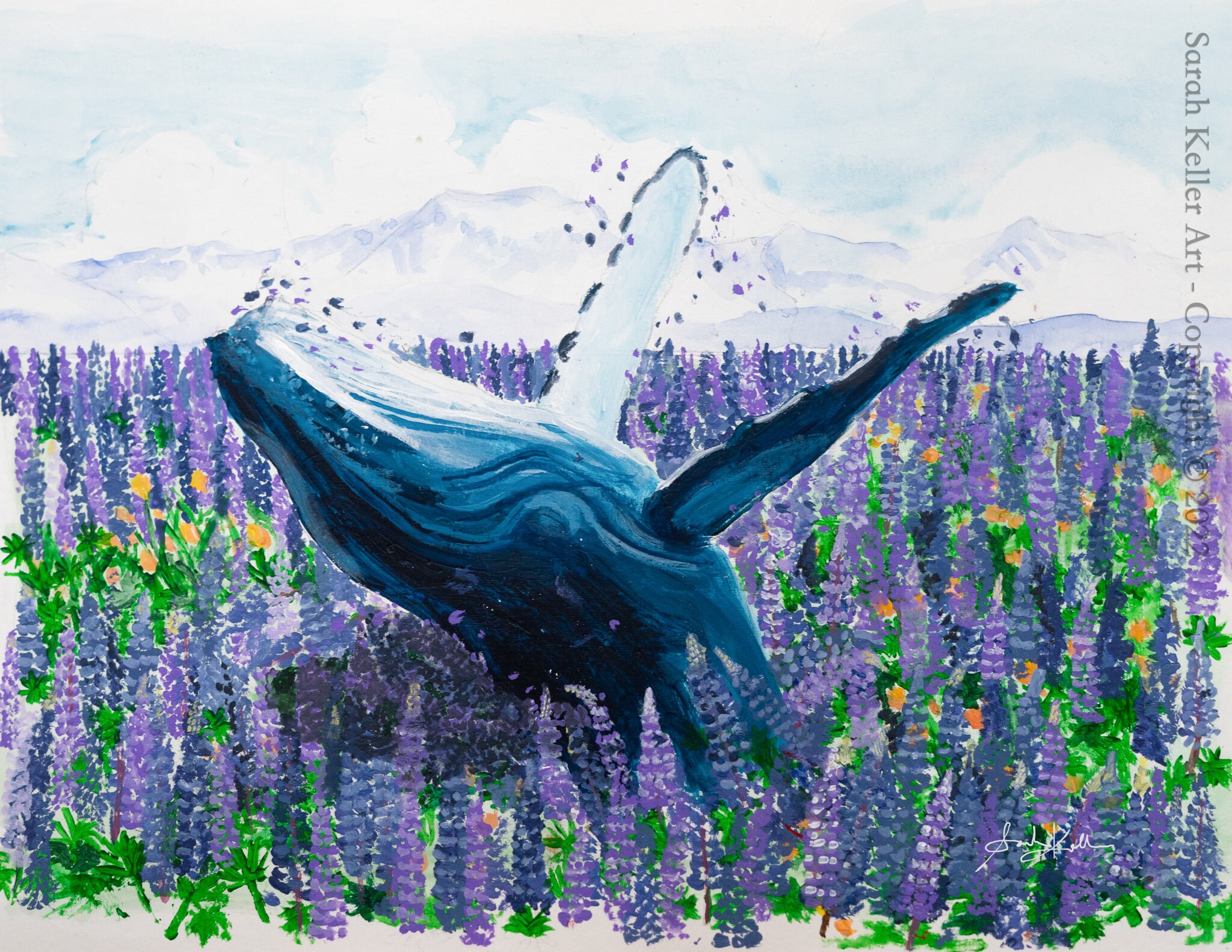 Whale Jumping in Lupines / High Quality Canvas Print / Canada Only