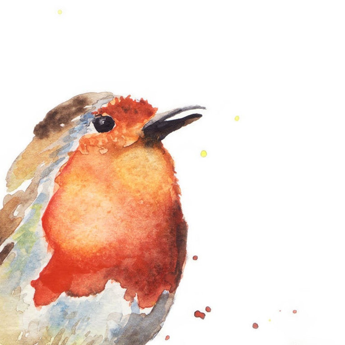 Watercolor Robin Bird Art Print Watercolor Illustration - Etsy