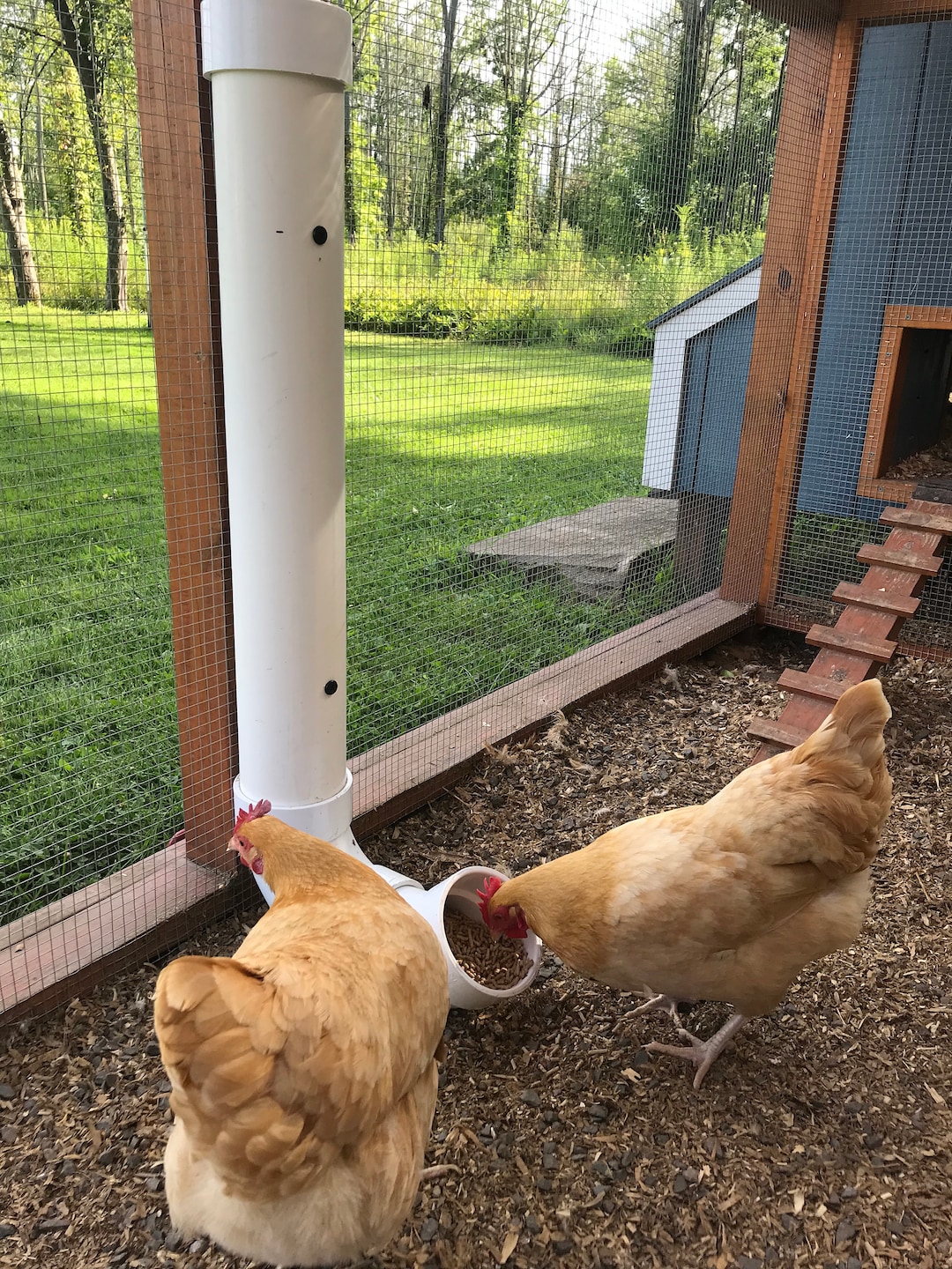 PVC Pipe Chicken Feeder Plans Etsy
