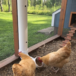 PVC Pipe Chicken Feeder Plans