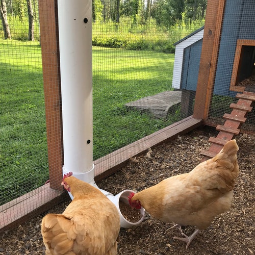 PVC Pipe Chicken Feeder Plans Etsy