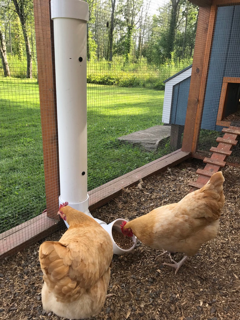 PVC Pipe Chicken Feeder Plans Etsy