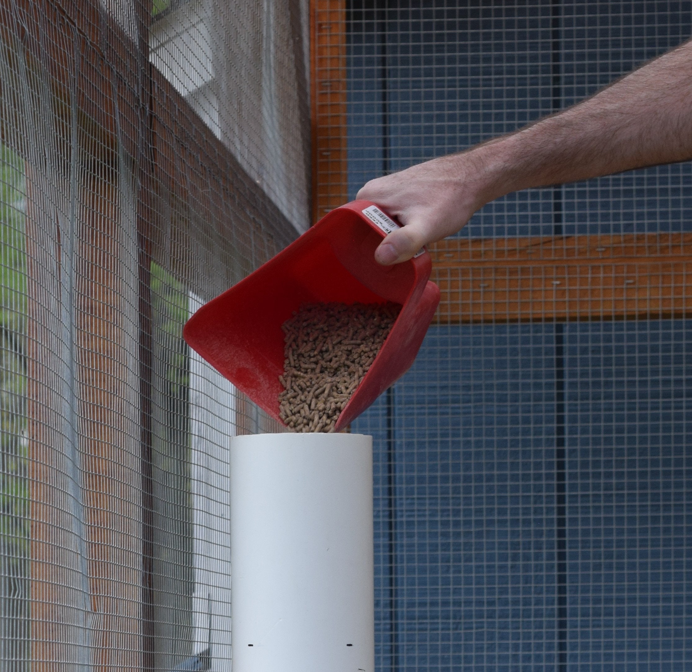 PVC Pipe Chicken Feeder Plans Etsy