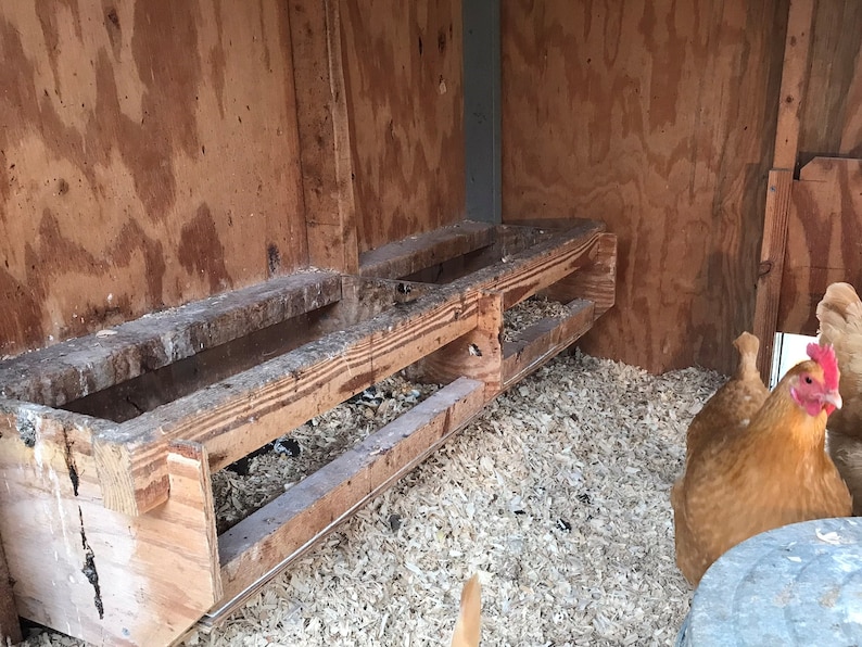 6 Chicken Roosting Bar With Cleanout Tray Plans Etsy