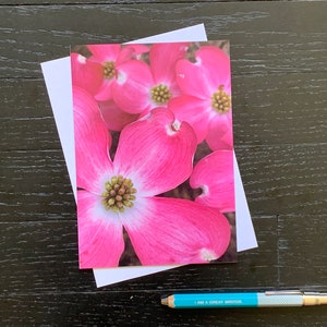 Pinke Dogwood Grußkarte | Florale Grußkarte | Botanische Grußkarten | Blankokarten | Geburtstagskarte | Hundeholz Notizkarten | Valentine