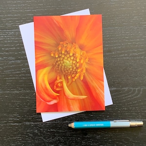 Orange Dahlie Grußkarte | Dahlie | Florale Grußkarte | Botanische Grußkarten | Blankokarten | Dahlien Notizkarten | Wunder der Natur