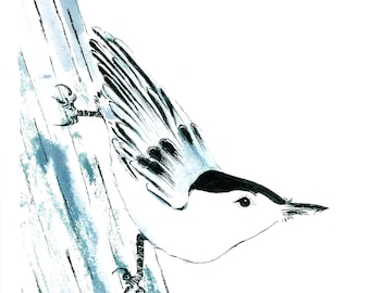 4 cartes de voeux vierges 4 x 6 pouces avec enveloppes « Nuthatch »