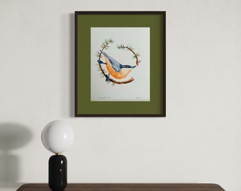 Art Print, Gicleé, 5x7, 8x10 or 11x14 Unframed, ‘Red-breasted Nuthatch’ by Samantha Modert