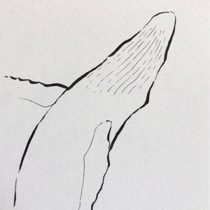 Art Print, Giclee, 5x7”, 8x10” or 11x14”, ‘Humpback Whale Breaching’ Line Art