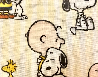 Sweetest Snoopy and Charlie Brown blanket ever!