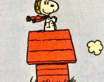 Adorable Snoopy Red Baron blanket and gift