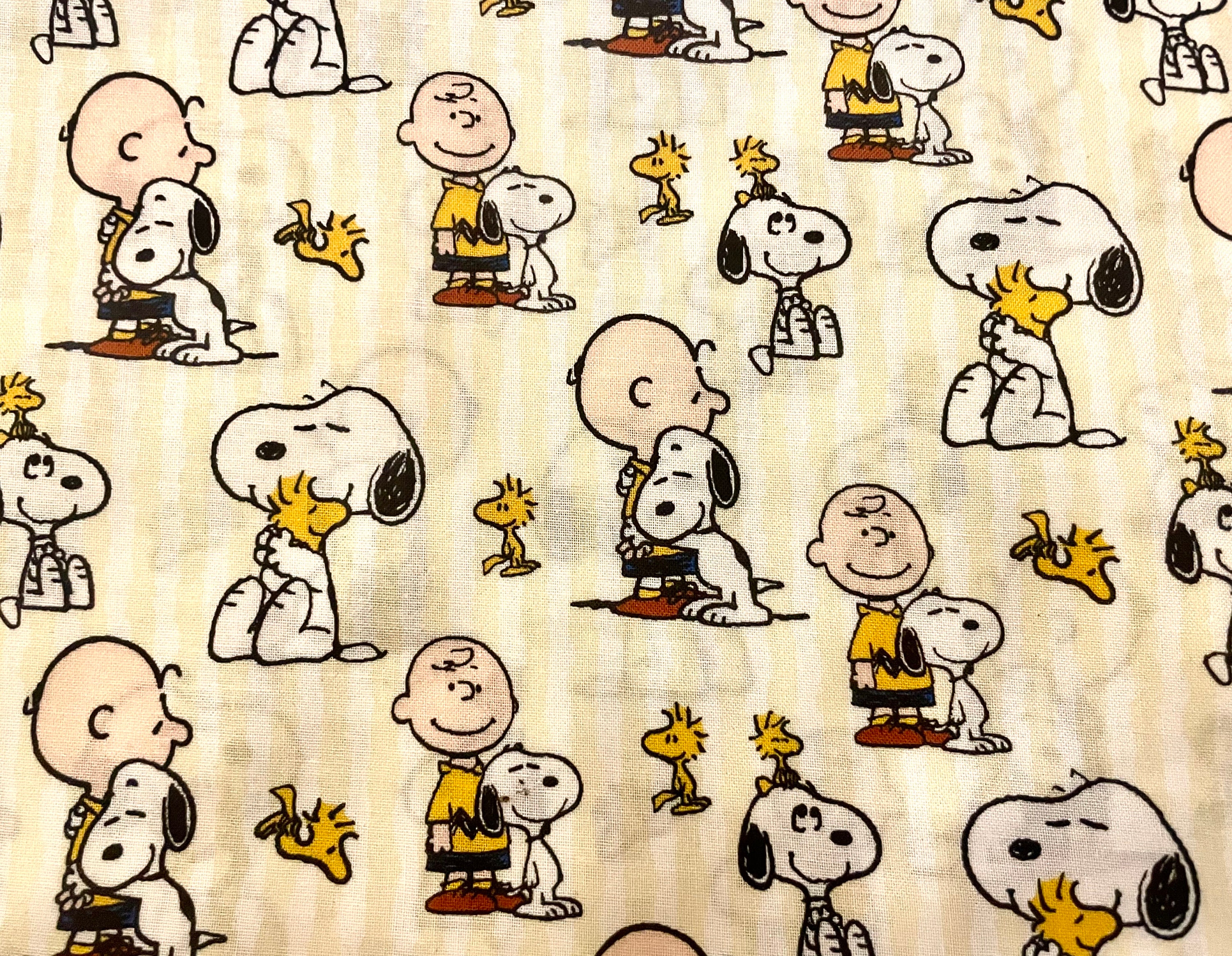 Sweetest Snoopy and Charlie Brown Blanket Ever Etsy