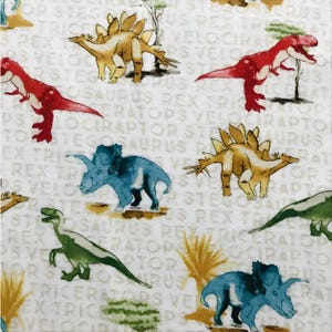 Best Dinosaur blanket with all their names!