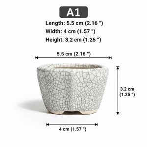 May include: A small, hexagonal ceramic planter featuring a white glaze with a dark gray crackle pattern. The planter is labeled A1 and measures 2.16 inches in length, 1.57 inches in width, and 1.25 inches in height, as indicated by the text.