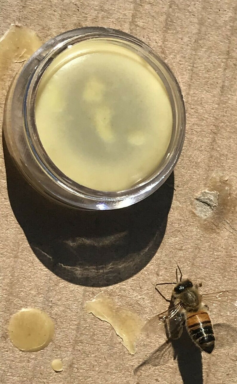 Recipe honey Bee Swarm Lure for Trapping Honey Bees Etsy