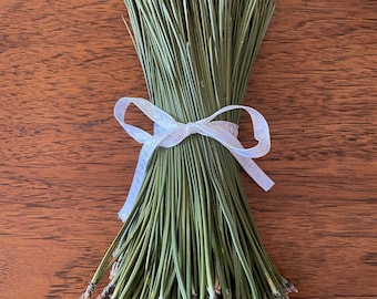 Fresh Green Ponderosa Pine Needles