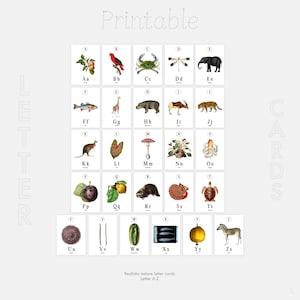 Cartes éclair nature Montessori lettre | Cartes éclair sur la nature | Imprimable Montessori | Style réaliste | Cartes postales naturelles