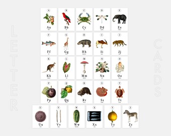 Nature Letter Flash Cards: Realistic Montessori Printable (PDF)