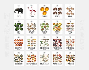 Realistic Nature Number Flash Cards: Montessori Printable (PDF)