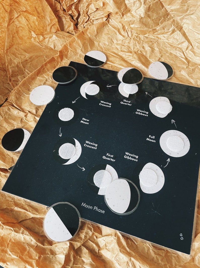 Moon Phase Matching Activity printable Montessori - Etsy