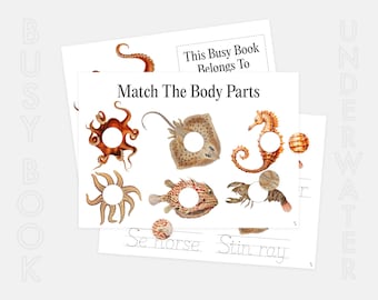 Underwater Creatures Busy Book: Montessori Learning Activities (PDF)