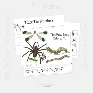 Insects Montessori Busy Book | 15 Activities | Kids Busy Book | Writing, Maths, Practical Life Skills Busy Book | Toddler Busy Book