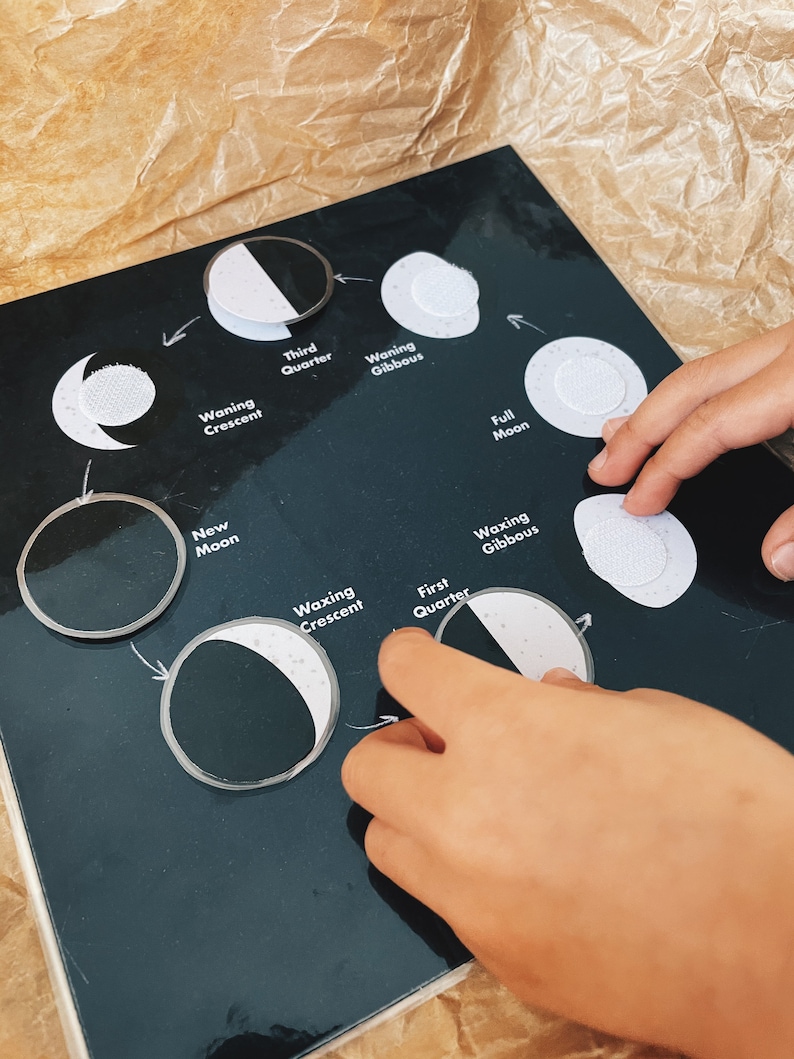 Moon Phase Matching Activity printable Montessori - Etsy