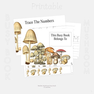 Mushroom Montessori Busy Book | 15 Activities | Kids Busy Book | Writing, Maths, Practical Life Skills Busy Book | Toddler Busy Book