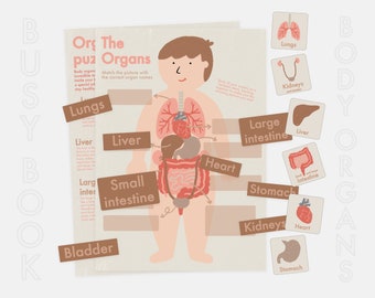 Body Organs Busy Book: Anatomy Learning for Toddlers (PDF)