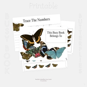 Montessori Butterflies Busy Book | 15 Activities | Kids Busy Book | Writing, Maths, Practical Life Skills Busy Book | Toddler Busy Book