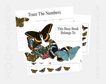 Realistic Butterflies Busy Book: 15 Activities (PDF)
