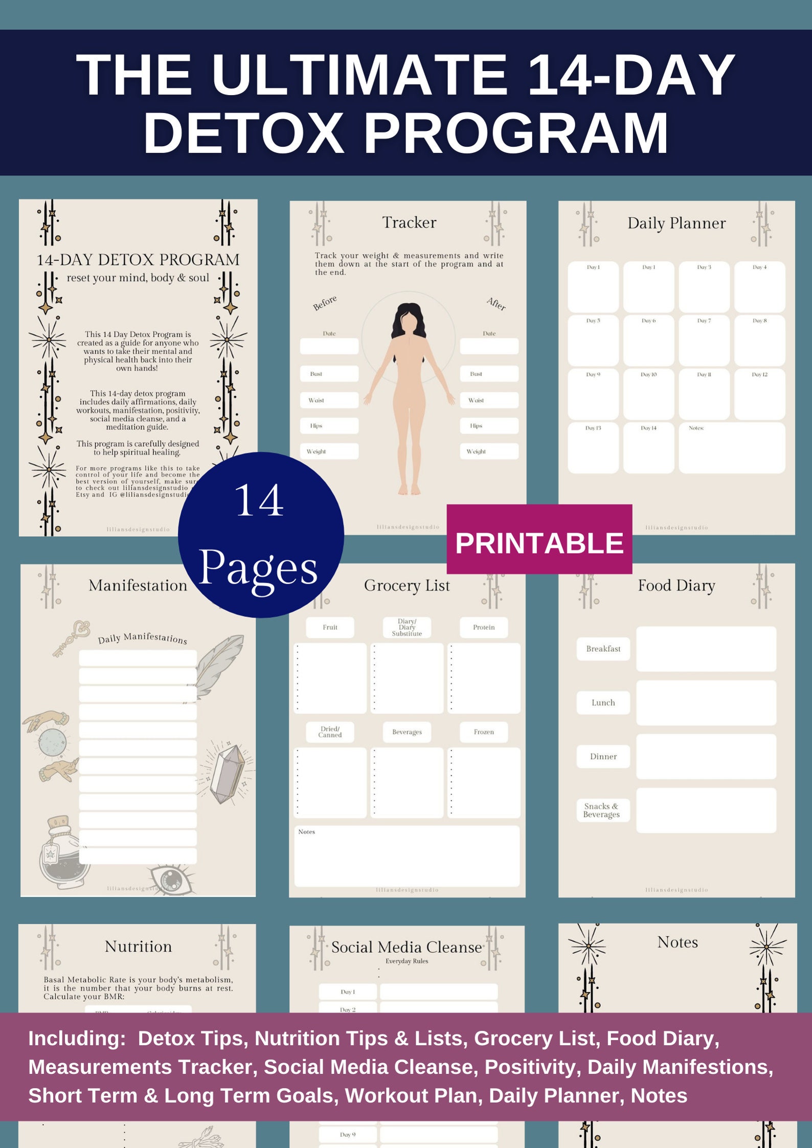 The Ultimate 14Day Detox Program Productivity Planner Etsy