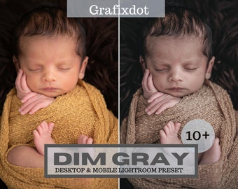 10+ Dim gray lightroom presets | moody gray preset | gray white lightroom | newborn preset | gray instagram presets| desktop & mobile preset