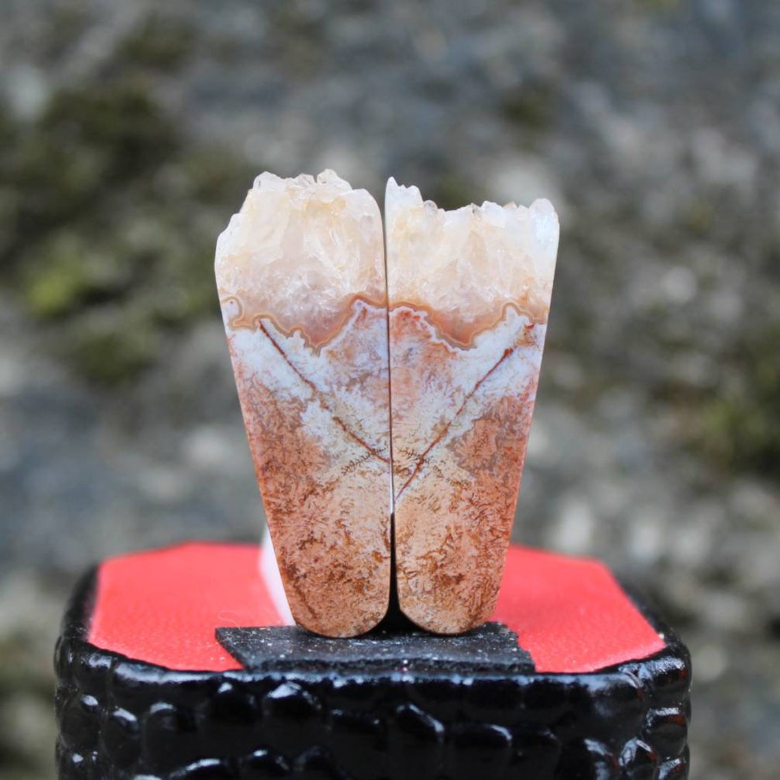 Plume Fossil coral druzy pair Etsy