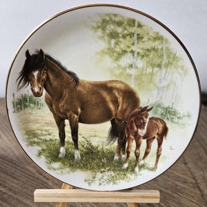 Mare Foal Horse Bone China Plate Blue Water England Equestrian Decor Horse Lovers Collectible Farmhouse Wall Art