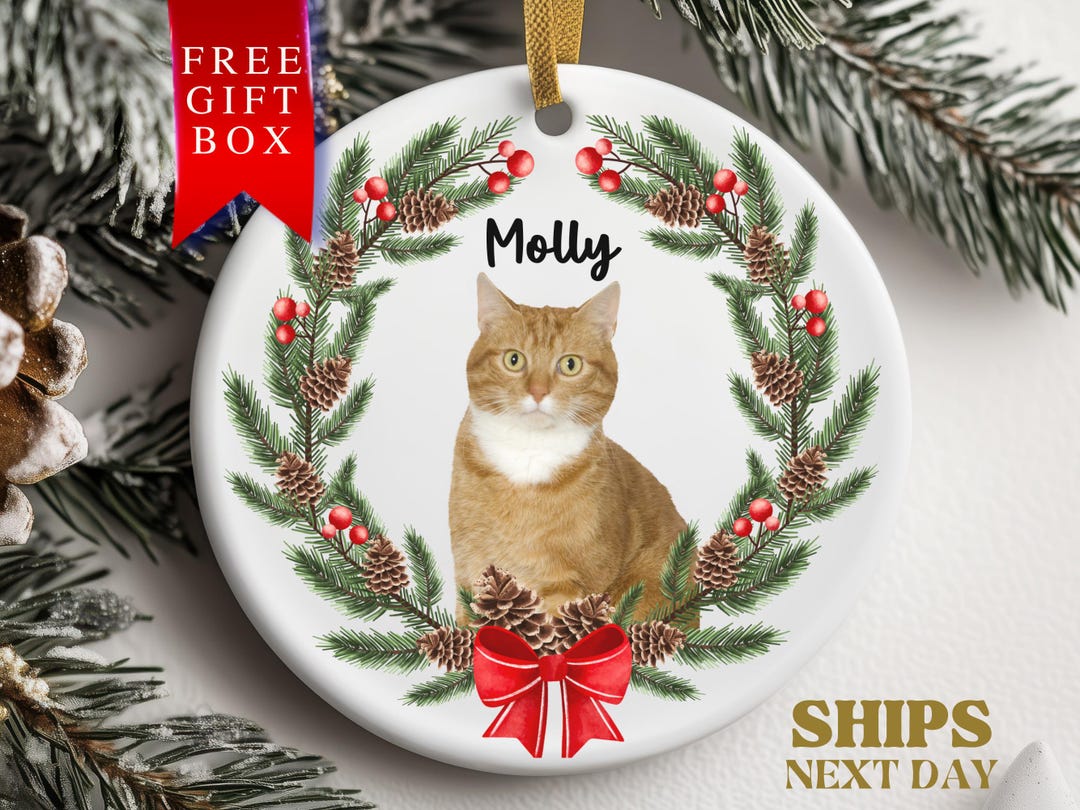 Custom Cat Ornament Personalized Cat Christmas Ornament, Custom Pet ...