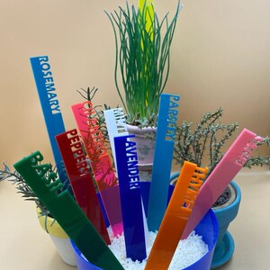 Garden Stakes, Acrylic Plant Labels, Named Garden Markers