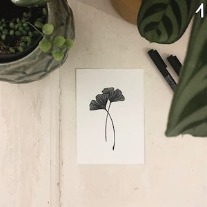 Postkarte Ginkgo und andere Motive